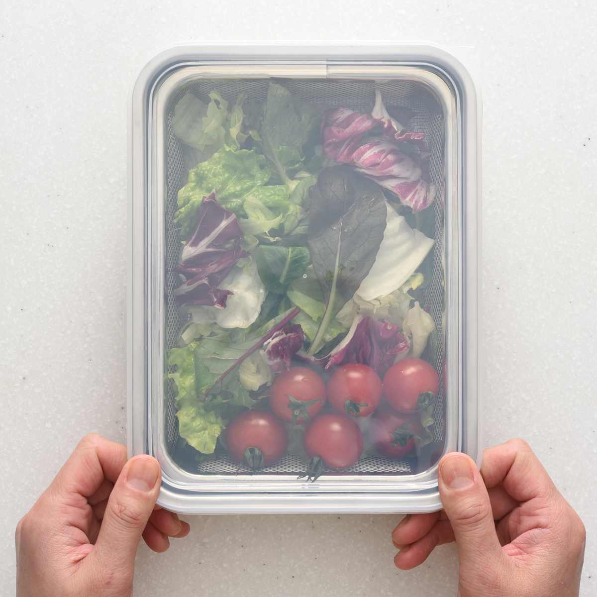 ザル&バット3点セット 1/1サイズ 角型 蓋付き ステンレス製 日本製 お料理はかどる角バット・角ザルセット ( 3点セット バット ザル 浅型 18-8ステンレス 角バット ステンレスバット 大きい 浅型バット 角ザル 使いやすい 丈夫 )