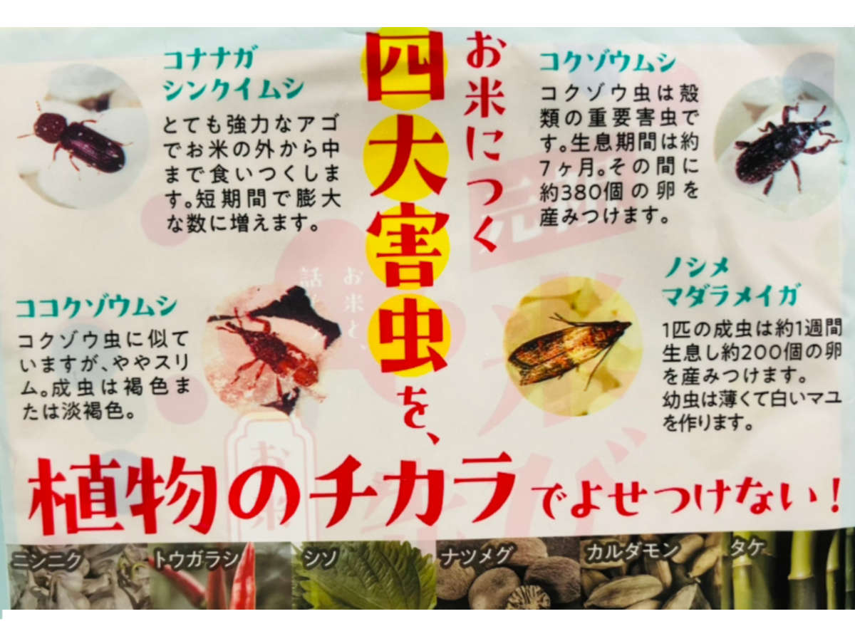 虫よけ 防虫剤 お米 元祖米びつ先生 2025 6ヶ月用 10kgまで ( 米びつ 防虫 10kg用 5kg用 米虫対策 植物由来 6ヶ月 効果 米櫃用 保存 お米の虫対策 防虫グッズ 置くだけ 10kg 5kg 長持ち おすすめ 日本製 )