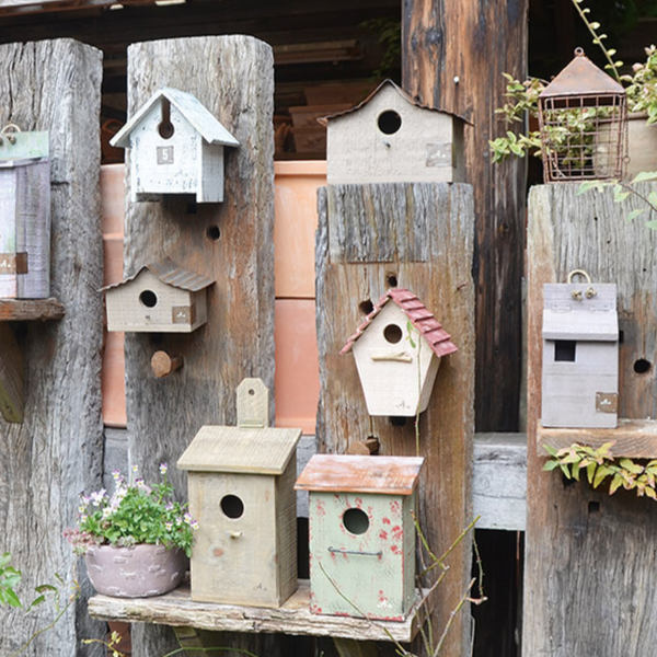 鳥小屋 巣箱 シャビーバードハウス G （ 玄関 バードハウス 園芸