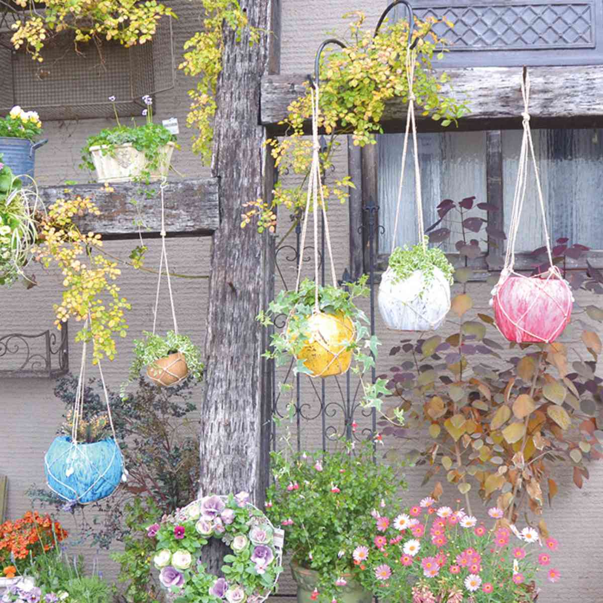 花瓶・フラワースタンド値下げ❢壁掛けプランター　植木鉢　トゲトゲ　貝 　白　観葉植物　ガーデニング