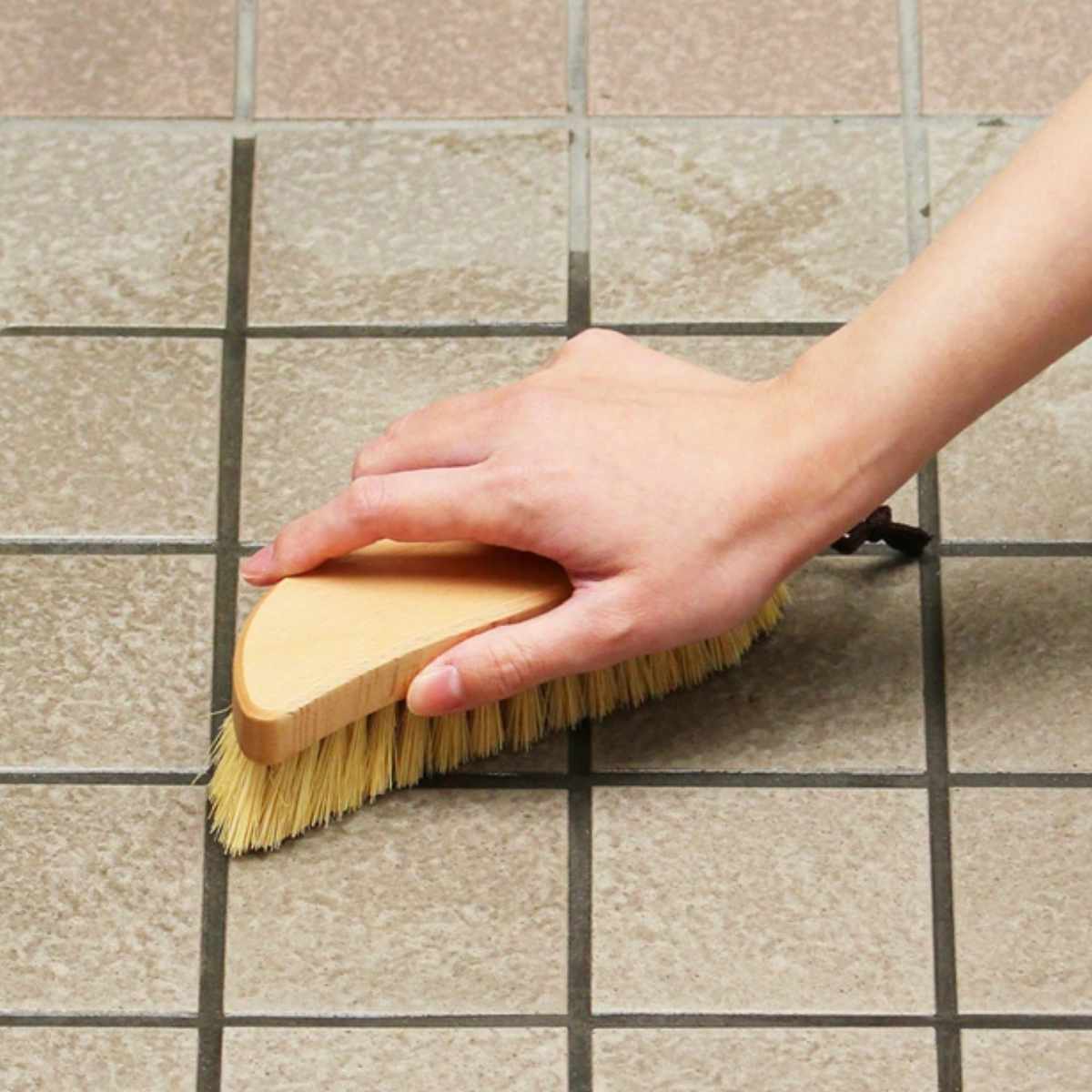 ハンディデッキブラシ パキン 玄関床 浴室 玄関タイル コンクリート ( タイル掃除 ハンディ ブラシ パキンブラシ 玄関 ベランダ ガレージ 掃除 天然素材 床掃除 磨く 掃除用品 掃除用具 掃除グッズ )