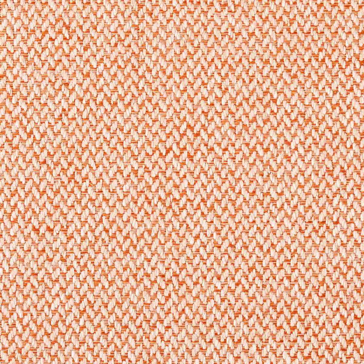 ダイニングチェア 座面高45cm くすみカラー ファブリック座面 ( 貝殻風 食卓 椅子 チェア デスクチェア リビング ダイニング 曲木 ファブリック 天然木 カフェ風 韓国風 ナチュラル ) 【ライトグレー】 ライトグレー