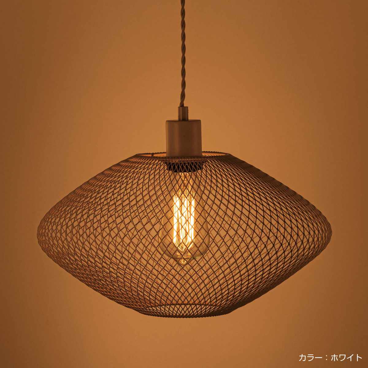 ペンダントライト LED対応 電球付き CASTOR ( カストル 照明 ライト 吊り下げ 照明器具 メッシュ スチール ブラック ホワイト モノトーン おしゃれ 北欧 モダン シンプル ) 【ブラック】 ブラック
