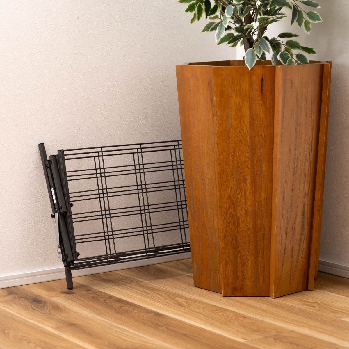 シューズラック フォールディングシューズラック スチール ( 玄関 靴 収納 下駄箱 折りたたみ ラック 見せる収納 スリッパラック コンパクト コレクションラック たためる ブラック ホワイト ) 【ホワイト】 ホワイト