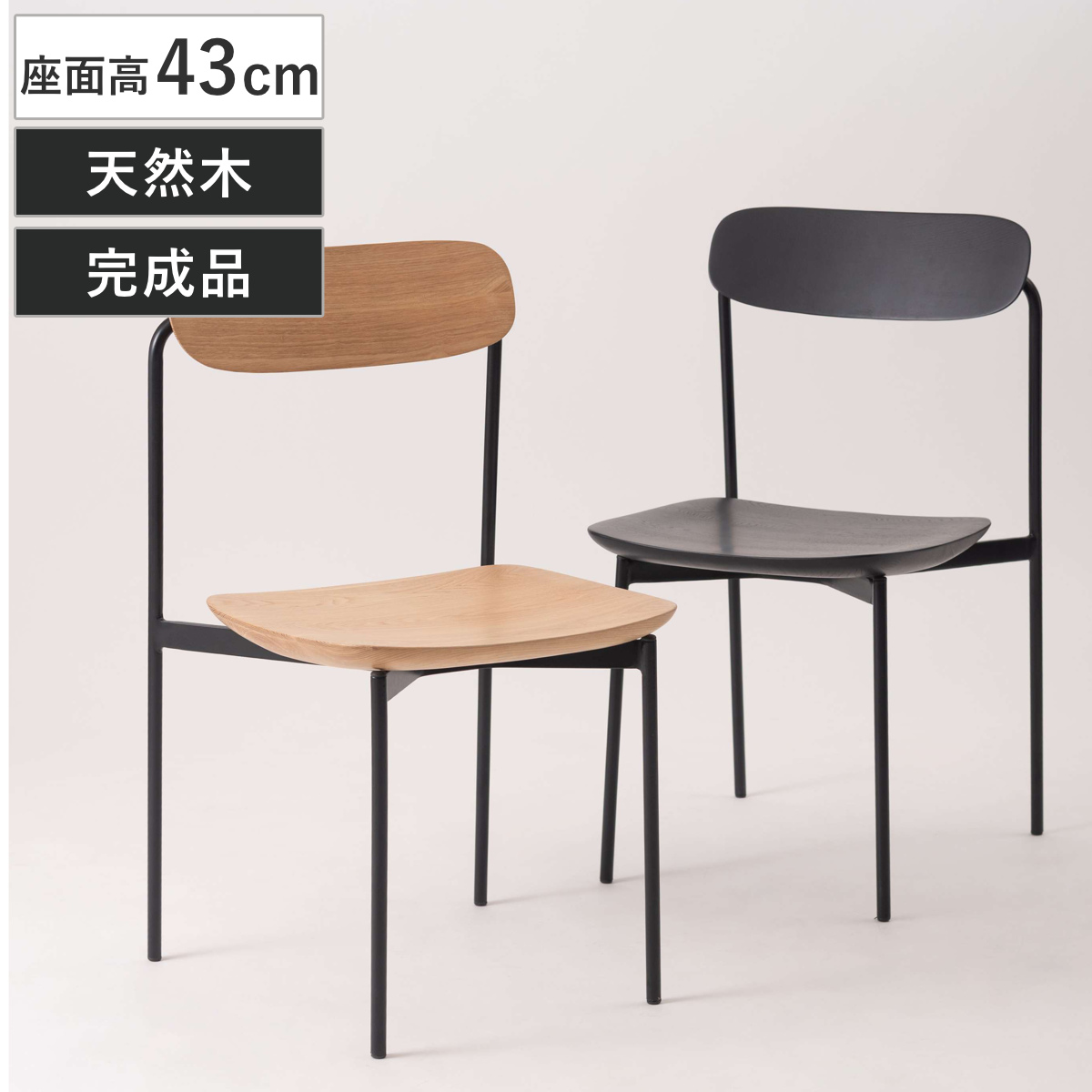 ダイニングチェア 座面高43cm 天然木 ( チェア ダイニング イス 椅子 食卓椅子 木製 スチール脚 完成品 背もたれ 可動式 リビングチェア いす 食卓 リビング シンプル 一人掛け アームレス 肘なし ) 【ブラック】
