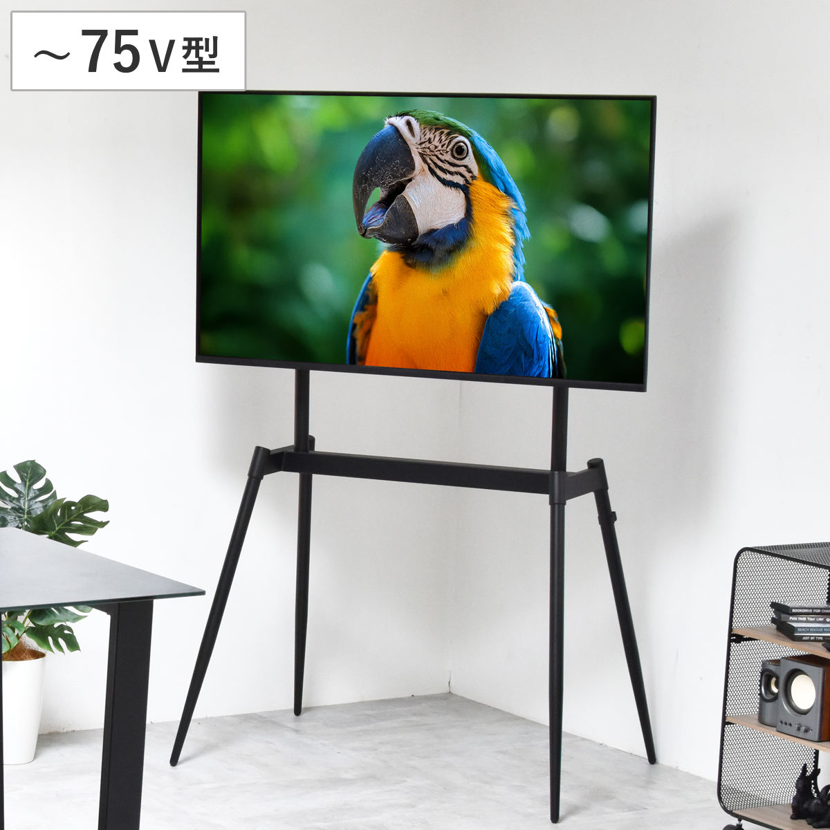 テレビスタンド Ease 75インチ対応 高さ139~154cm 壁寄せ ( テレビ台 スタンド 高さ調節 3段階 イーゼル型 転倒防止ワイヤー付 ブラック )