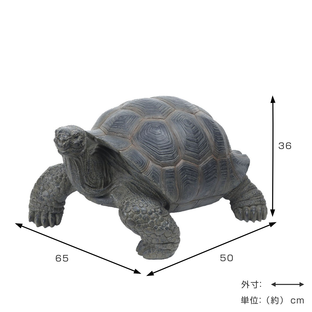 リクガメ　ゾウガメ　置物　オブジェ 甲羅の大きな亀(ゾウガメ) 陸亀 インテリア 置物 オブジェ 送料