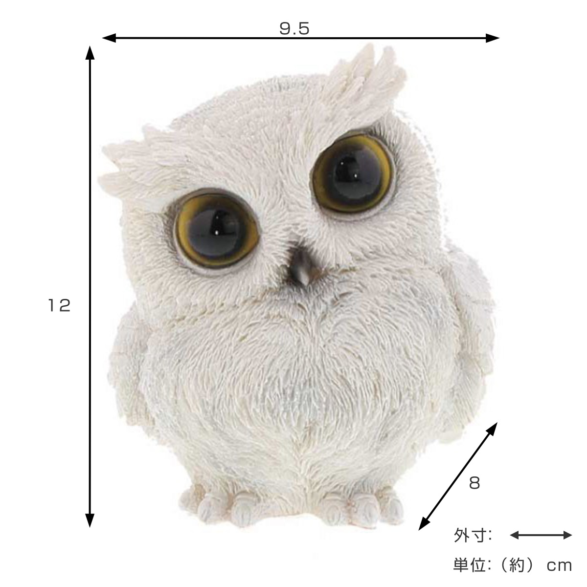 フクロウ・ミミズク | ワシ・タカ・フクロウ | 剥製の製作・直売