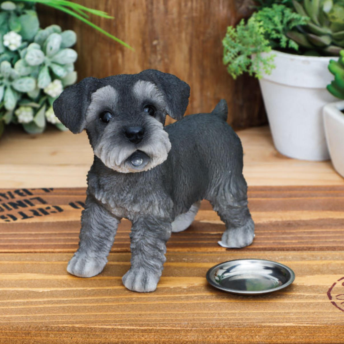 ガーデンオーナメント シュナウザー ごはんちょうだい ( ガーデニング オーナメント ディスプレイ 飾り 置く ガーデンマスコット いぬ 犬 玄関 エントランス 庭 ガーデン 雑貨 インテリア 庭飾り ウェルカムオーナメント )