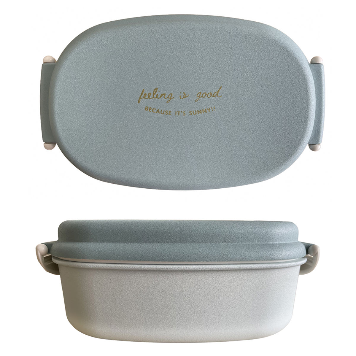 弁当箱 600ml FIG 塗1段ランチボックス ( お弁当箱 ランチボックス 食洗機対応 レンジ対応 ドーム型 1段 日本製 食洗機OK レンジOK お弁当 弁当 小判型 一段 一段弁当 ドーム蓋 おしゃれ ) 【マットホワイト】 マットホワイト