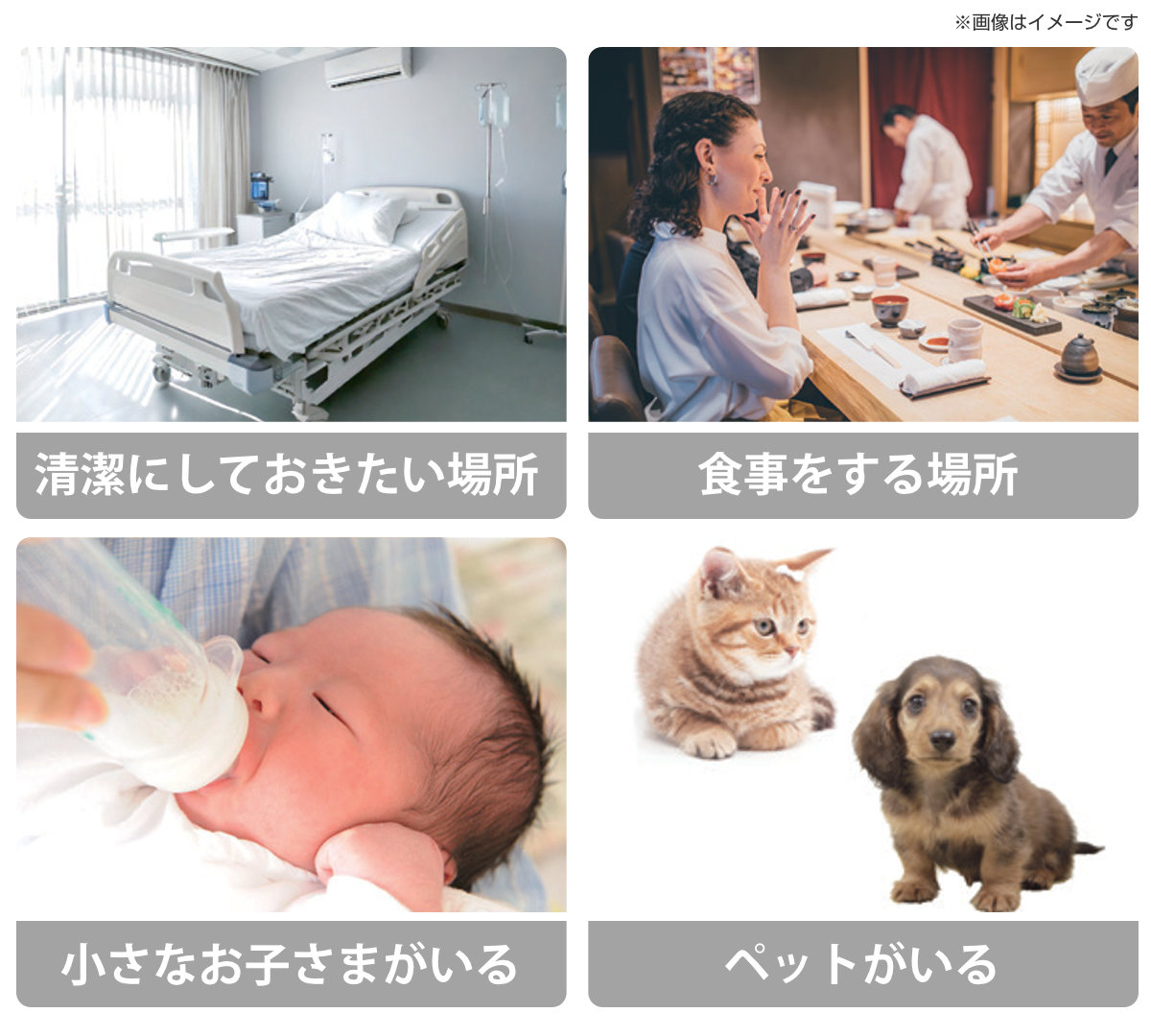 虫 キャッチ ペタッとmushimon 本体 取替えシート 2枚付き 害虫駆除 ( mushimon ゴキブリ 対策 捕虫器 駆除 捕獲 触らず 粘着シート 虫キャッチ 虫取り器 虫駆除 ムカデ ハエ 虫対策 安心 害虫対策 害虫 )