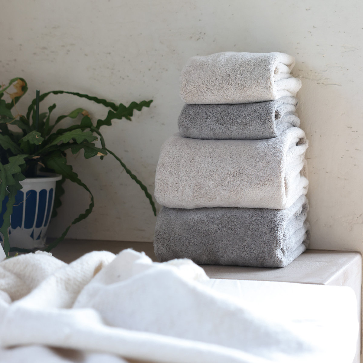 フェイスタオル カラリデイプレミアム ( タオル 手拭きタオル 汗拭きタオル 吸水 速乾 厚手 やわらか 無地 デイリータオル ループ付き フェイス 洗顔 30×80cm ふんわり 日常使い 新生活 シンプル ギフト ) 【グレー】 グレー