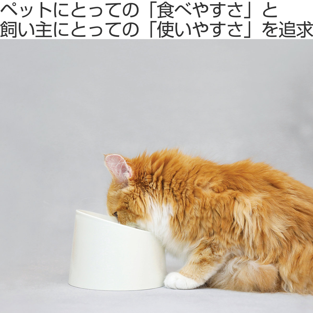 フードボウル 食べやすい 撥水 ペット食器 ( ペットボウル 広口 犬用 猫用 ペット用 餌皿 エサ皿 ペットフードボウル ペット用食器 えさ入れ 滑りにくい ペット用品 傾斜 角度 ) 【ブラック】 ブラック