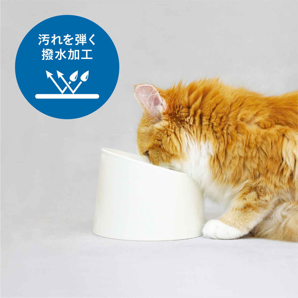 フードボウル 食べやすい 撥水 ペット食器 ( ペットボウル 広口 犬用 猫用 ペット用 餌皿 エサ皿 ペットフードボウル ペット用食器 えさ入れ 滑りにくい ペット用品 傾斜 角度 ) 【ブラック】 ブラック
