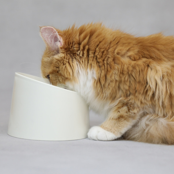 ペット 食器 撥水ペット容器 PeDISH 2 電子レンジ対応 猫 ねこ （ 台 フードボウル 食器台 ペット用品 傾斜 高さ 角度 食べやすい 撥水加