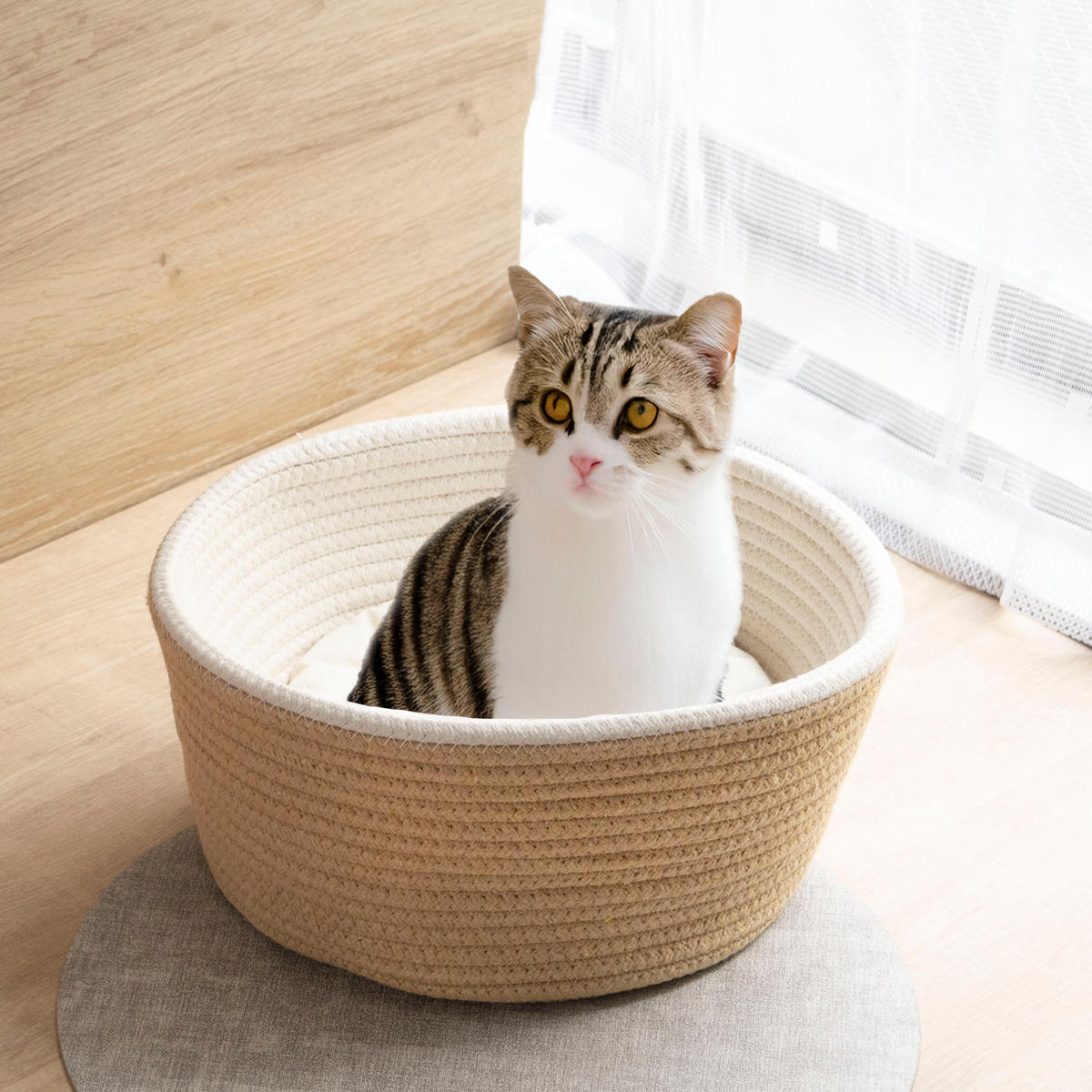 ペットベッド コットン クッション バスケット 畳める ( 犬 クッション付き 猫 ペット用バスケット かご ペット用ベッド 犬用 猫用 ペット用 ナチュラル おしゃれ ベッドカゴ ハンドル付 小動物 夏 )