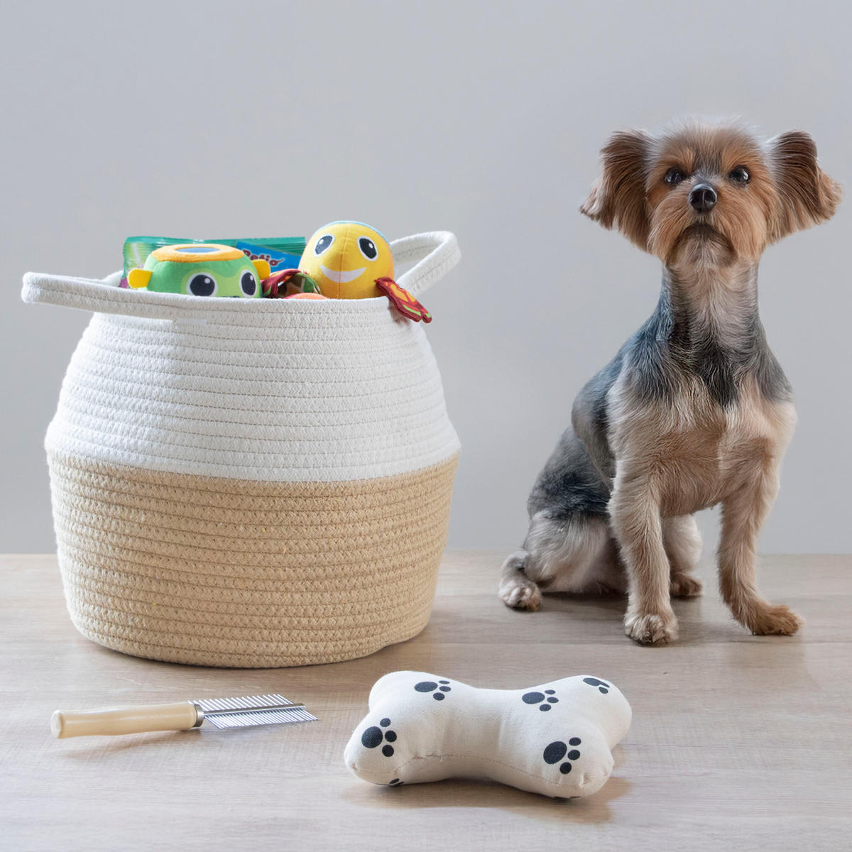 ペットベッド コットン クッション バスケット 畳める ( 犬 クッション付き 猫 ペット用バスケット かご ペット用ベッド 犬用 猫用 ペット用 ナチュラル おしゃれ ベッドカゴ ハンドル付 小動物 夏 )