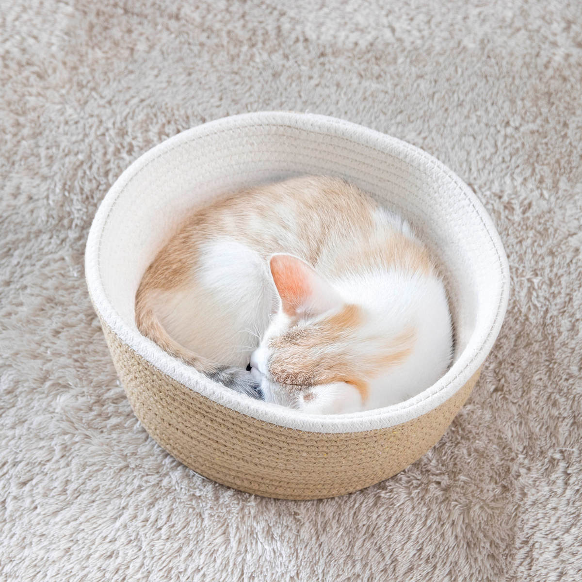 ペットベッド コットン クッション バスケット 畳める ( 犬 クッション付き 猫 ペット用バスケット かご ペット用ベッド 犬用 猫用 ペット用 ナチュラル おしゃれ ベッドカゴ ハンドル付 小動物 夏 )