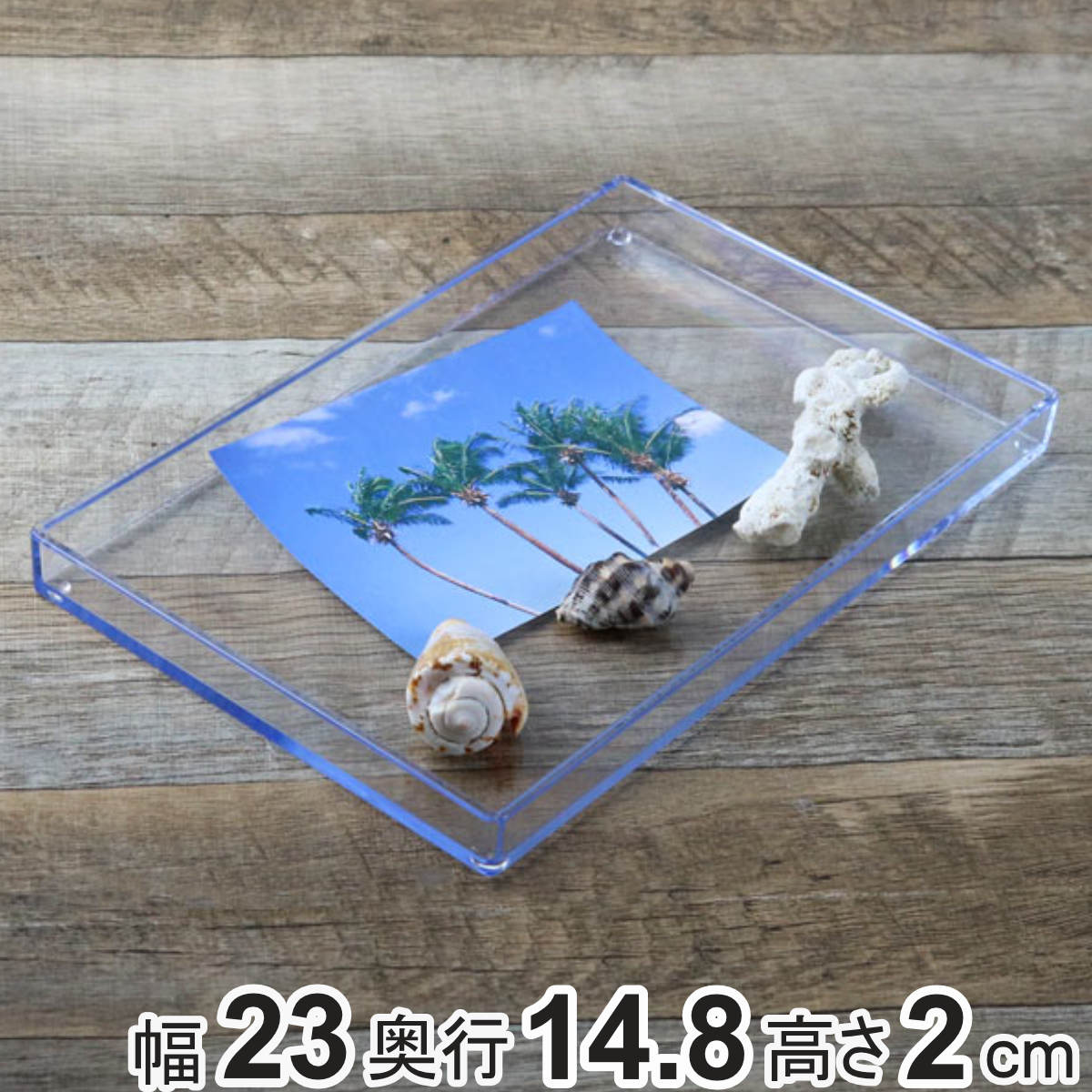 トレー 小 クリア プラスチック 透明 収納 デスコシリーズ 玄関トレー 約 幅23×奥行14.8×高さ2cm ( トレイ 収納ケース 収納トレー 玄関トレイ おしゃれ クリアケース 日本製 )