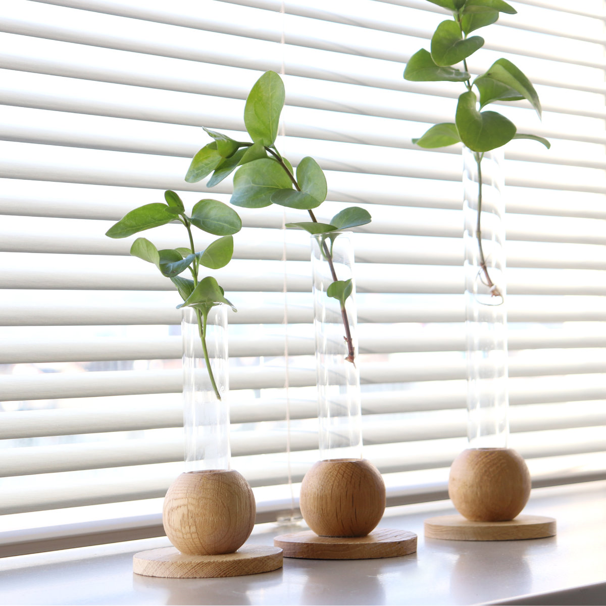 花瓶 BAUM バオム 直径8×高さ18cm フラワーベース M ( 花びん 花器 ベース ガラスベース ウッドベース 一輪挿し フラワー 花 飾る 花入れ ガラス ガラス製 天然木 木製 ウッド 木 異素材 )