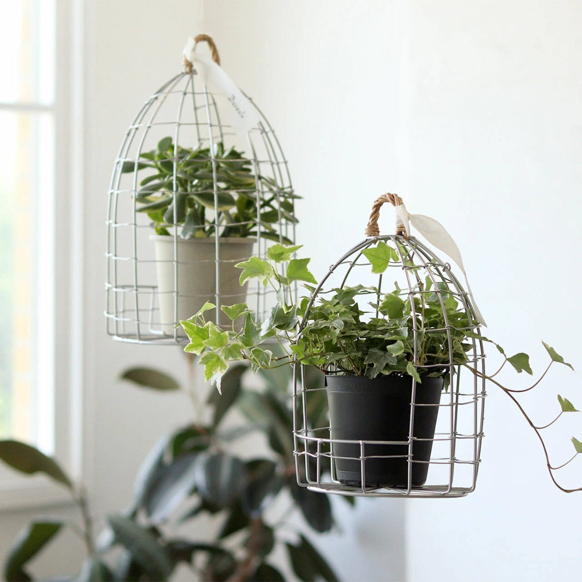 バードゲージ デュソール ポットホルダー L ( プランタースタンド フラワーケージ 花台 飾り 鳥かご アイアン フラワー 室内 ケージ 置く 吊るす 吊り下げ 植物 観葉植物 花 フラワーアレンジ 園芸 インテリア )