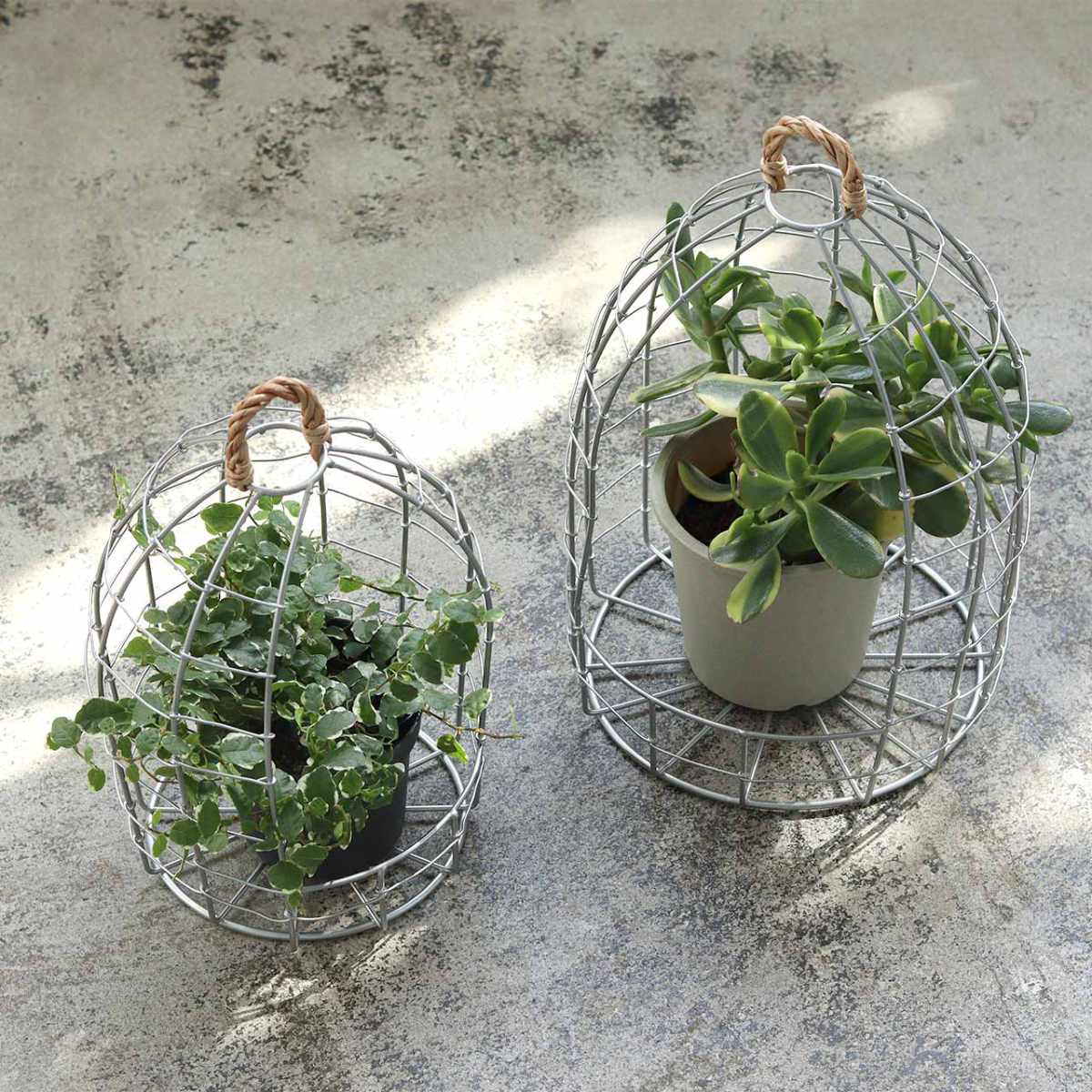 バードゲージ デュソール ポットホルダー L ( プランタースタンド フラワーケージ 花台 飾り 鳥かご アイアン フラワー 室内 ケージ 置く 吊るす 吊り下げ 植物 観葉植物 花 フラワーアレンジ 園芸 インテリア )