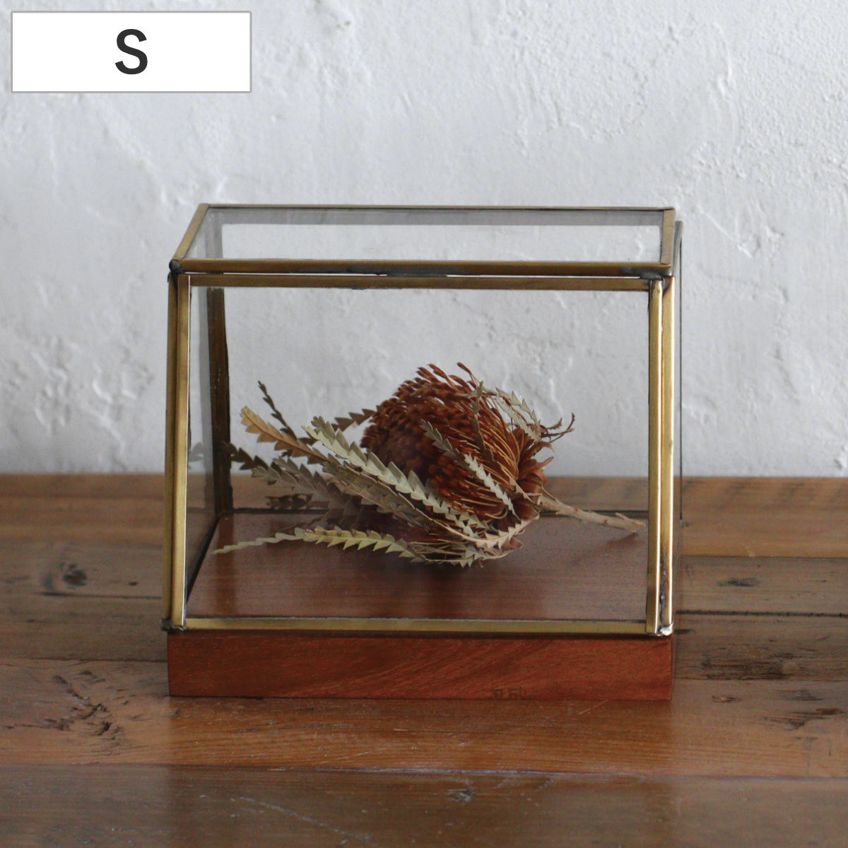 ショーケース アルテン ブラスショーケース S 天然木 アイアン ( ガラス ガラスケース 収納 アクセサリー おしゃれ ゴールド インテリア ディスプレイ ディスプレイケース アンティーク 小物入れ かわいい 飾る 玄関 ニッチ )