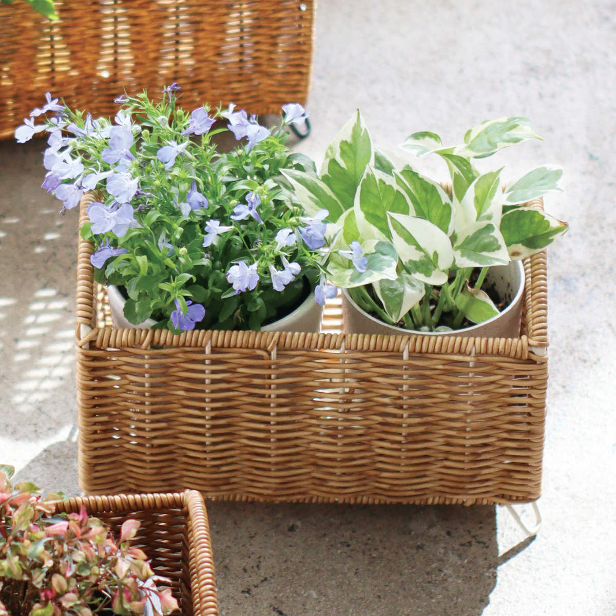 鉢カバー ユティル ロングポットカバー S ( プランターカバー ポットカバー かご カゴ バスケット プラントポット 収納カゴ 観葉植物 鉢植え 花 室内 小物入れ おしゃれポット スタンド 鉢ポット 植木鉢カバー 3号鉢 3号 2個 ) 【ブラウン】 ブラウン