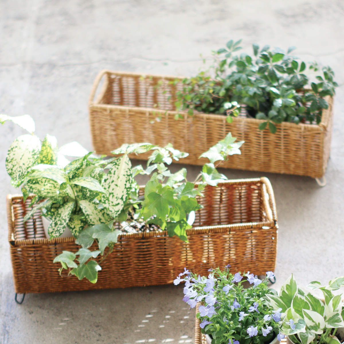 鉢カバー ユティル ロングポットカバー L ( プランターカバー ポットカバー かご カゴ バスケット プラントポット 収納カゴ 観葉植物 鉢植え 花 室内 小物入れ おしゃれポット スタンド 鉢ポット 植木鉢カバー 3号鉢 3号 4個 ) 【ブラウン】