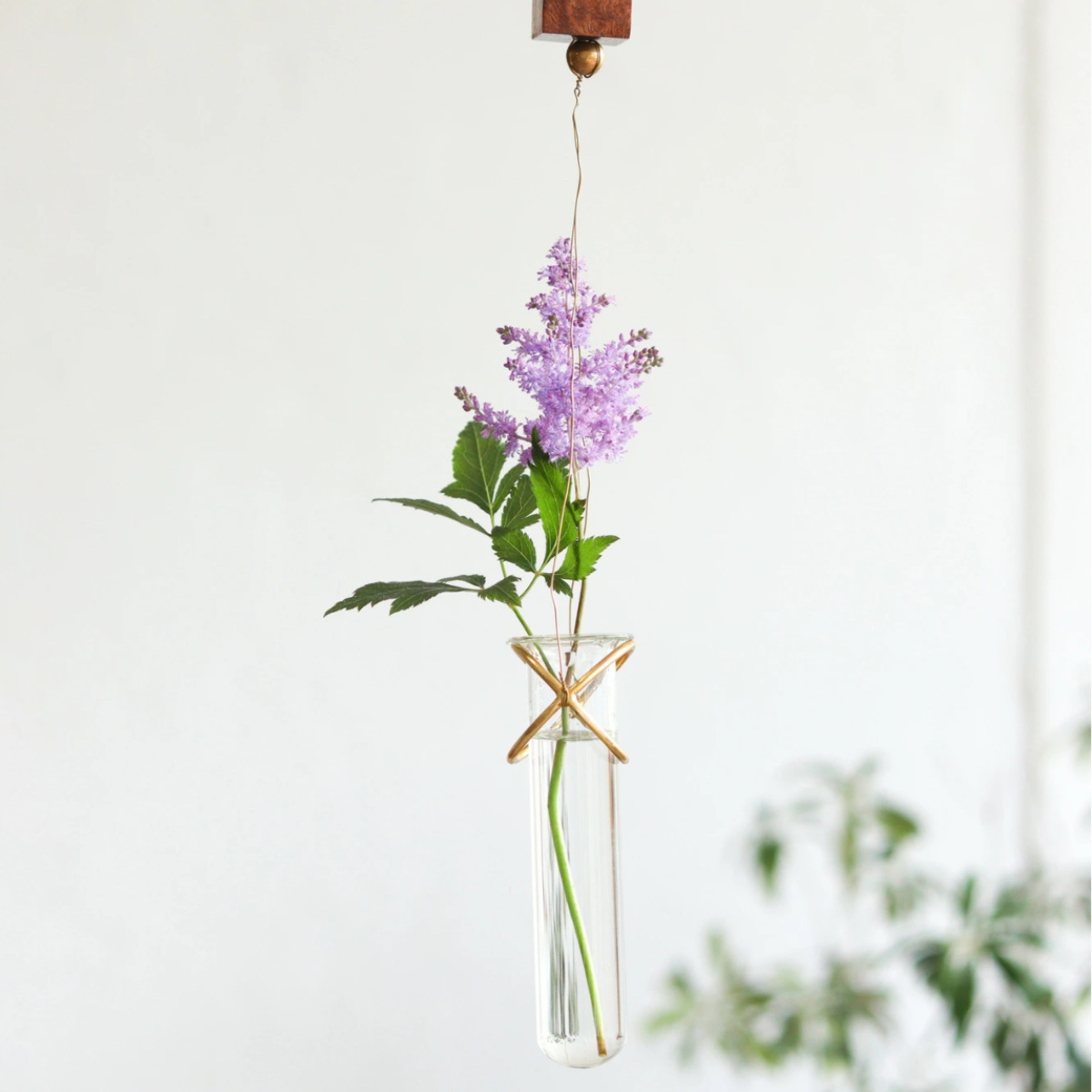 花瓶 アルテン ハンギングフラワーベース ( フラワーベース 花びん 花器 ベース 一輪挿し 花 飾る 手作り つり下げ 吊り下げ つりさげ 室内 植物 ガラス 真鍮 ハンギング ハンギングオーナメント アカシア 天然木 )