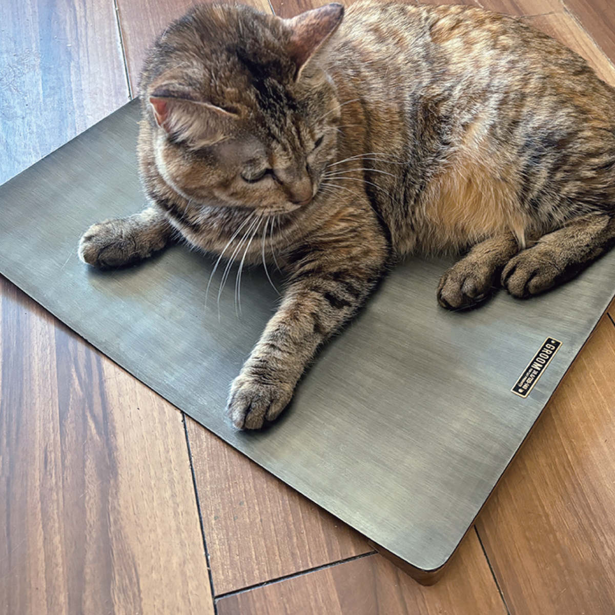 ペットベッド アルミひんやりベッド 夏 ( ペット ベッド ペット用 猫 犬 暑さ対策 おしゃれ ひんやり 冷たい 涼しい 夏用 ペットソファ ソファ シンプル インテリア )