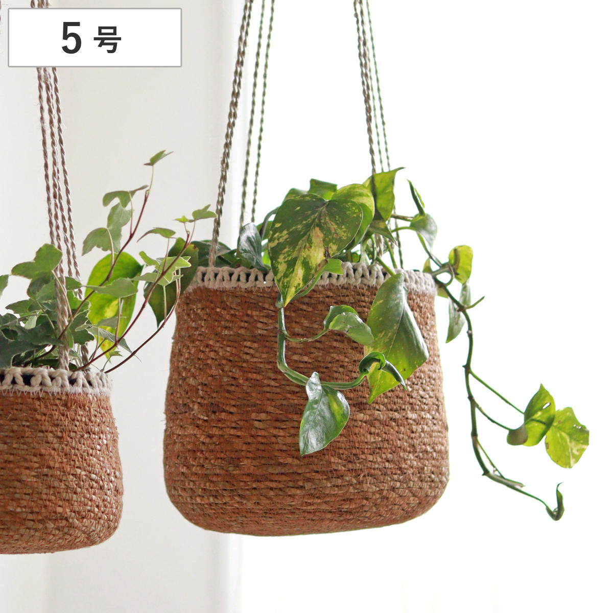 収納バスケット シーグラス ハンギングバスケット 5号 （ ハンギング鉢カバー ハンギングプランター 吊り下げ鉢カバー 吊り下げ プランターカバー 収納 バスケット かご カゴ 籠 鉢カバー 5号鉢 鉢植え プランター 観葉植物 ）
