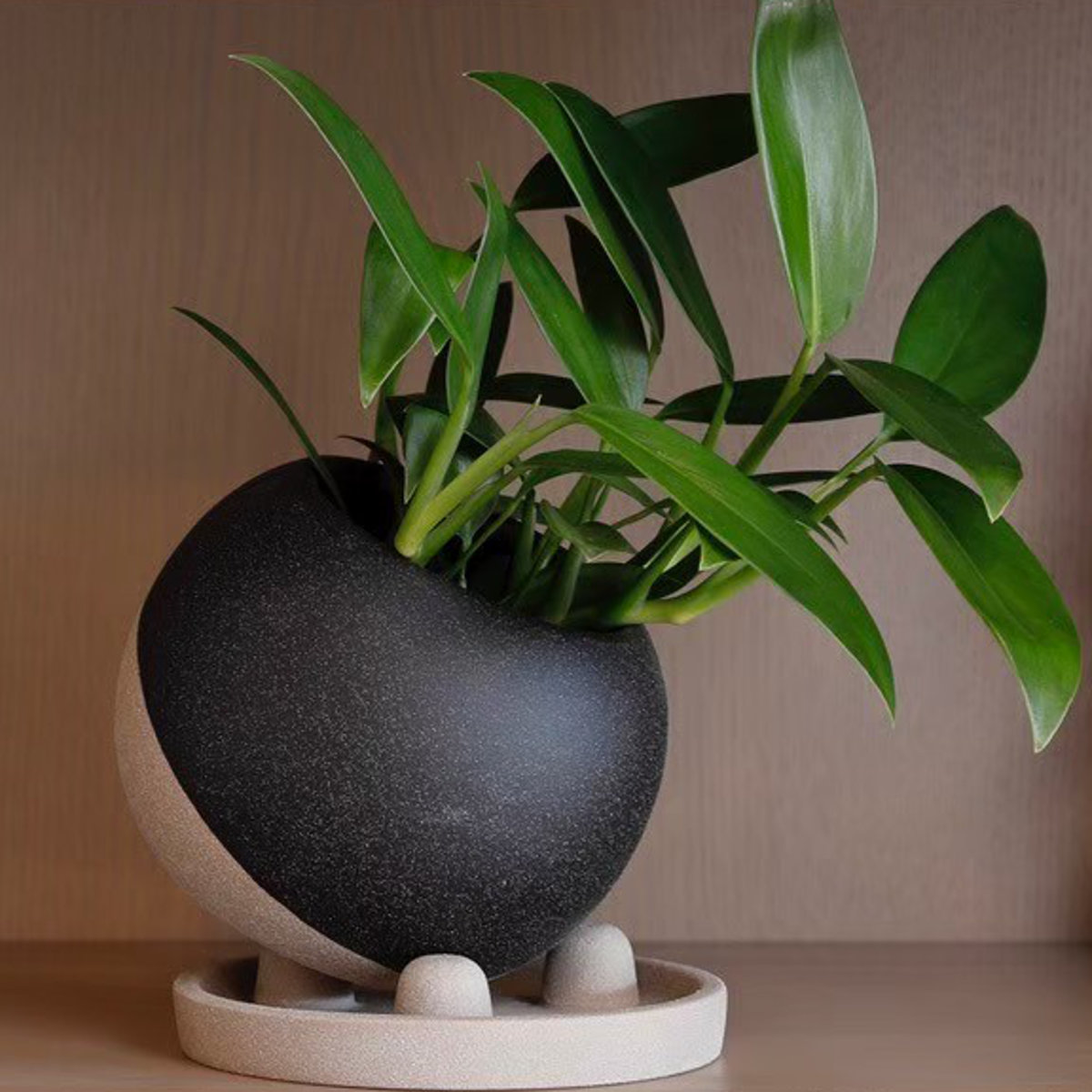 植木鉢 レヒーポット Cタイプ 受け皿付き ( フラワーポット プラントポット プランターポット 鉢 鉢植え 陶器 インテリア 植え替え おしゃれ 観葉植物 多肉植物 サボテン 園芸 受け皿 水抜き穴 ) 【ブラック】 ブラック