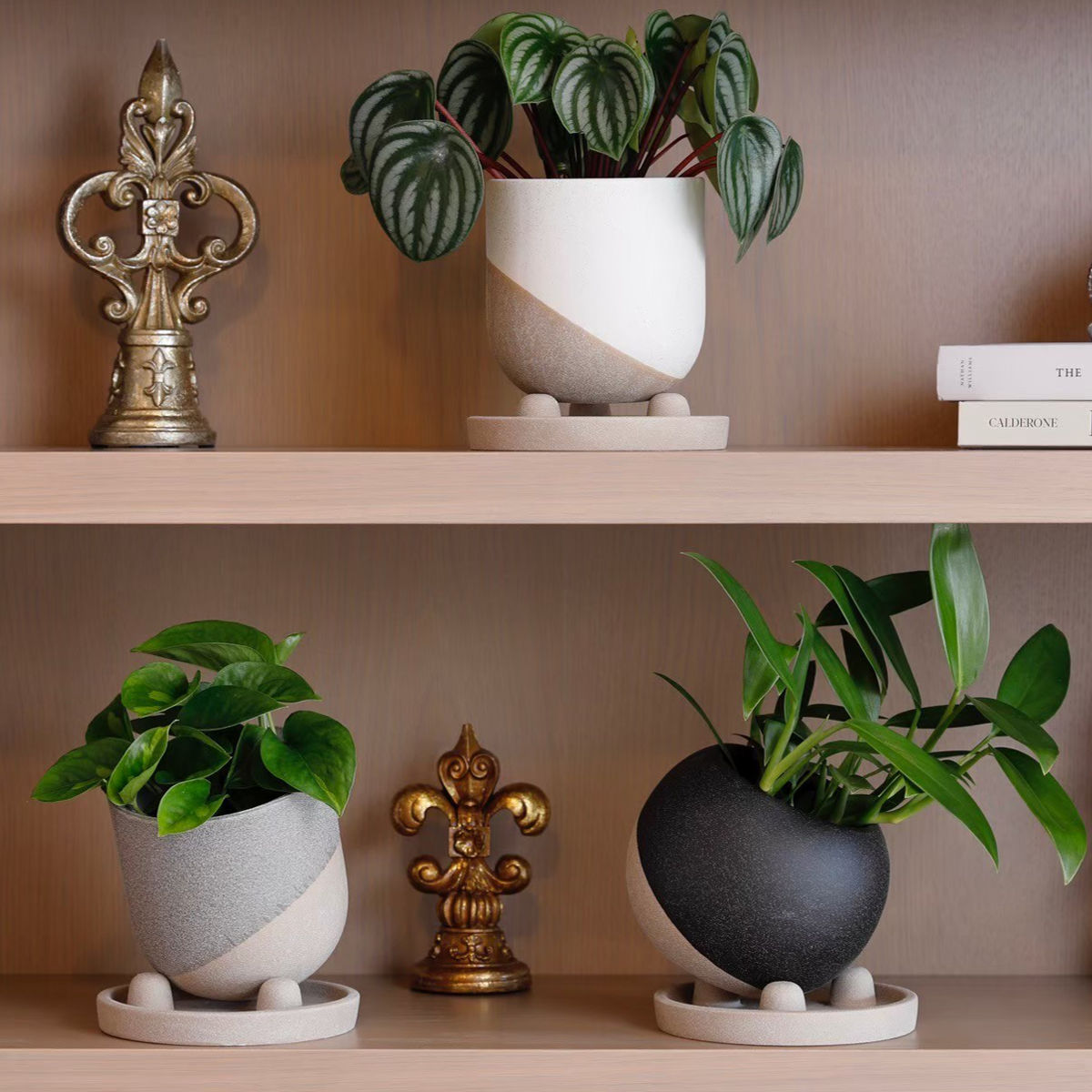 植木鉢 レヒーポット Cタイプ 受け皿付き ( フラワーポット プラントポット プランターポット 鉢 鉢植え 陶器 インテリア 植え替え おしゃれ 観葉植物 多肉植物 サボテン 園芸 受け皿 水抜き穴 ) 【ブラック】 ブラック