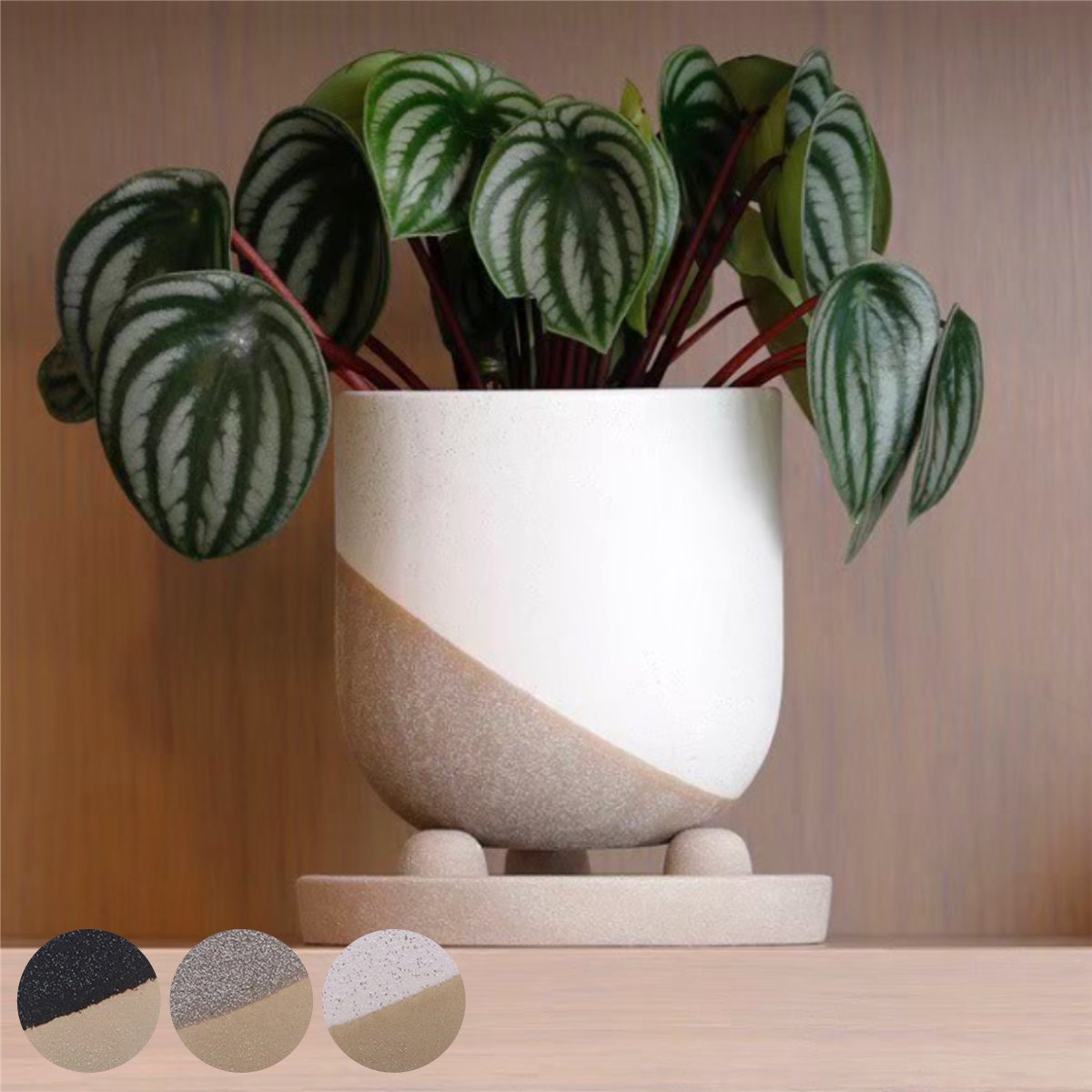 植木鉢 レヒーポット Dタイプ 受け皿付き ( フラワーポット プラントポット プランターポット 鉢 鉢植え 陶器 インテリア 植え替え おしゃれ 観葉植物 多肉植物 サボテン 園芸 受け皿 水抜き穴 ) 【グレー】