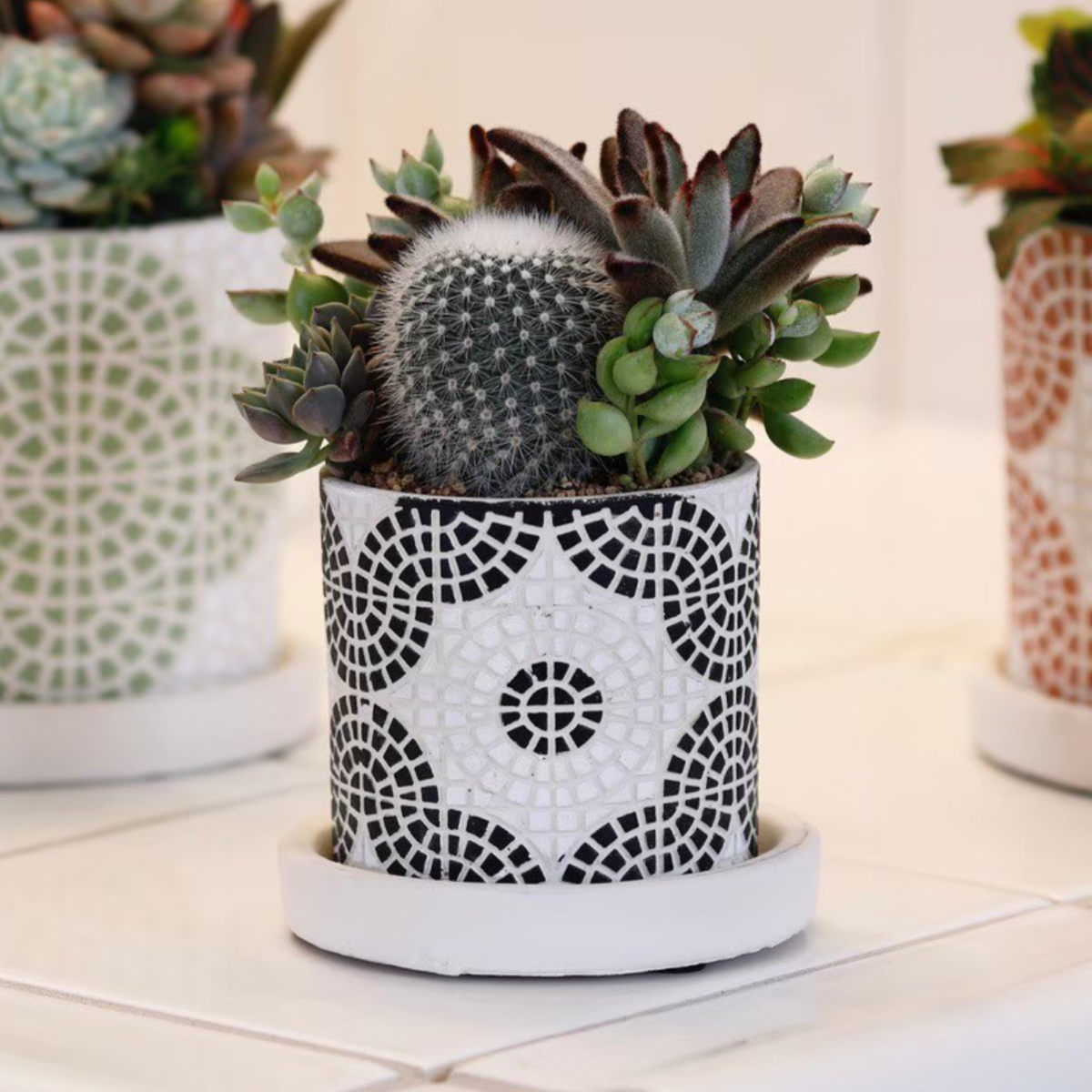 植木鉢 フリーゼポット S 受け皿付き ( フラワーポット プラントポット プランターポット 鉢 鉢植え 陶器 インテリア 植え替え おしゃれ 観葉植物 多肉植物 サボテン 園芸 受け皿 水抜き穴 ) 【グレー】 グレー