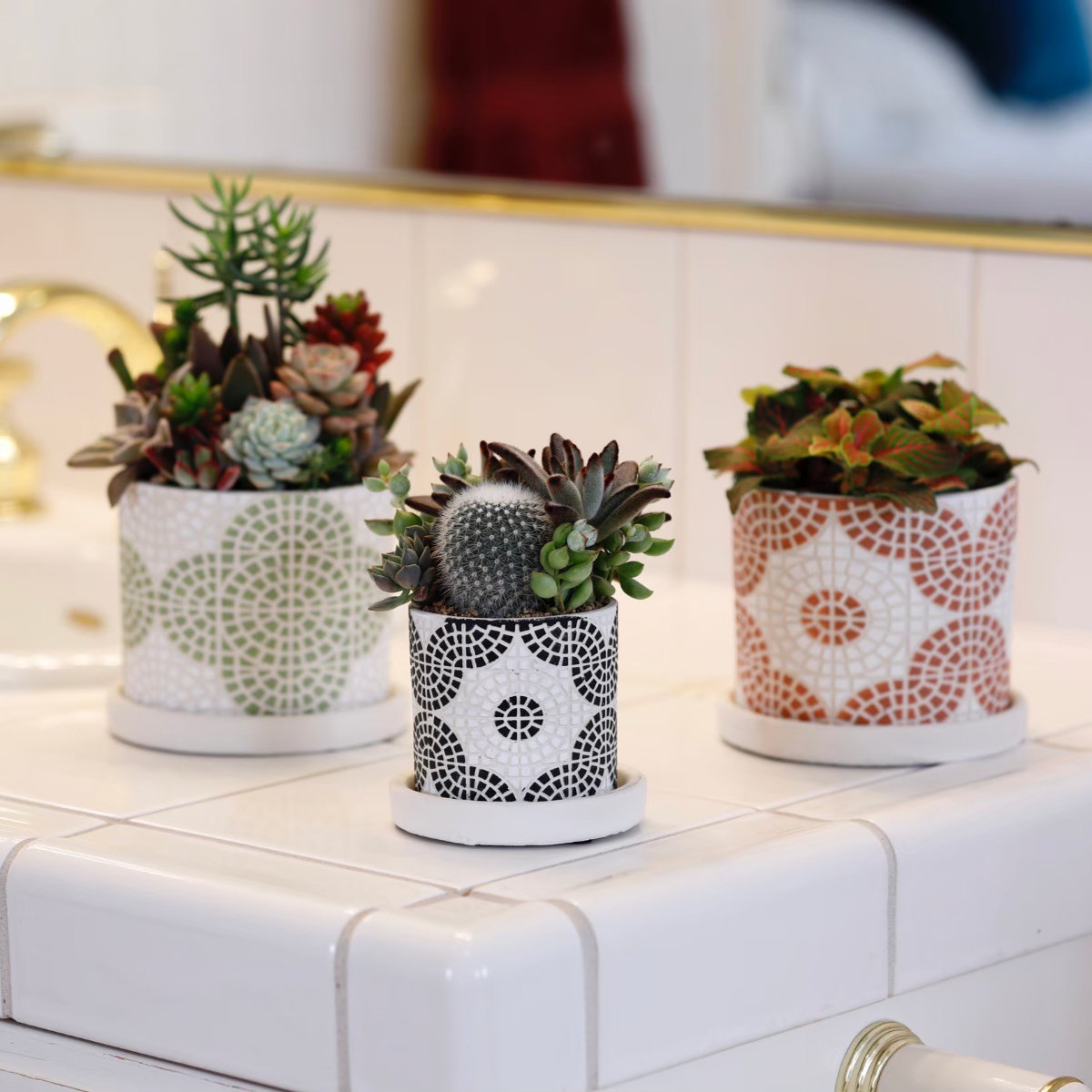 植木鉢 フリーゼポット S 受け皿付き ( フラワーポット プラントポット プランターポット 鉢 鉢植え 陶器 インテリア 植え替え おしゃれ 観葉植物 多肉植物 サボテン 園芸 受け皿 水抜き穴 ) 【グレー】 グレー