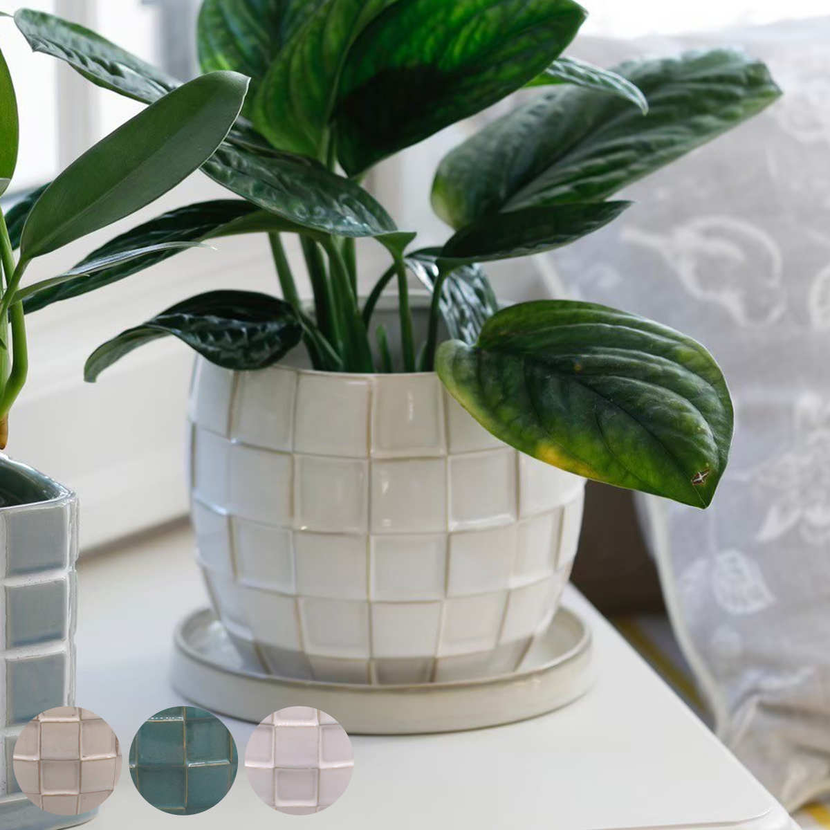 植木鉢 テグラポット B 受け皿付き ( フラワーポット プラントポット プランターポット 鉢 鉢植え 陶器 インテリア 植え替え おしゃれ 観葉植物 多肉植物 サボテン 園芸 受け皿 水抜き穴 丸型 ) 【グリーン】