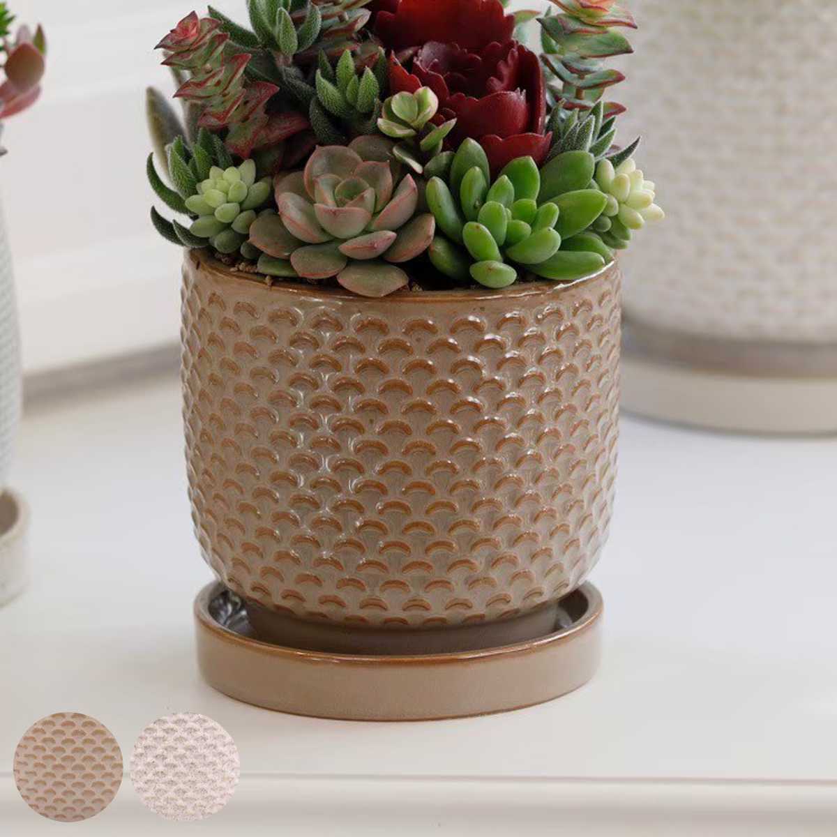 植木鉢 ニードポット Aタイプ Lサイズ 受け皿付き ( フラワーポット プラントポット プランターポット 鉢 鉢植え 陶器 陶器製 インテリア 植え替え おしゃれ 観葉植物 多肉植物 サボテン 園芸 受け皿 水抜き穴 ナチュラル ) 【ブラウン】