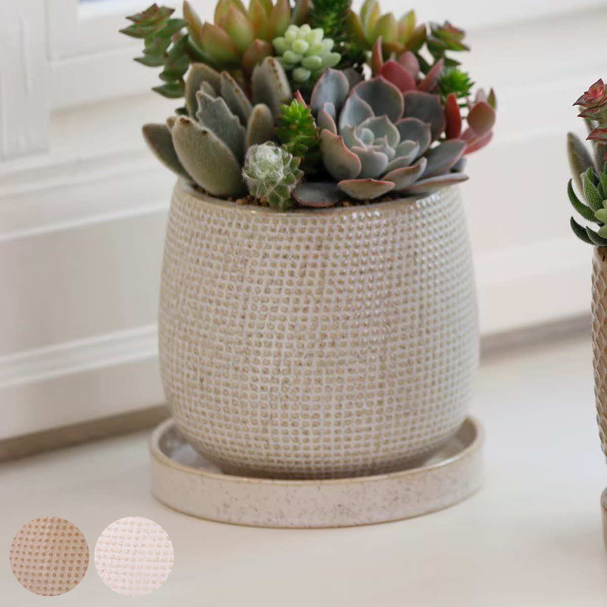 植木鉢 ニードポット Bタイプ Lサイズ 受け皿付き ( フラワーポット プラントポット プランターポット 鉢 鉢植え 陶器 陶器製 インテリア 植え替え おしゃれ 観葉植物 多肉植物 サボテン 園芸 受け皿 水抜き穴 ナチュラル ) 【ブラウン】