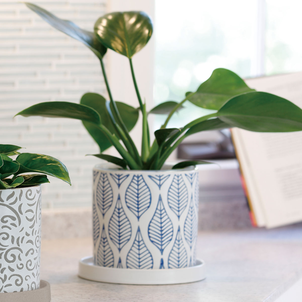 植木鉢 グリッグポット 受け皿付き ( フラワーポット プラントポット プランターポット 鉢 鉢植え 陶器 インテリア 植え替え おしゃれ 観葉植物 多肉植物 サボテン 園芸 受け皿 水抜き穴 ) 【唐草模様×ブルー】 唐草模様×ブルー