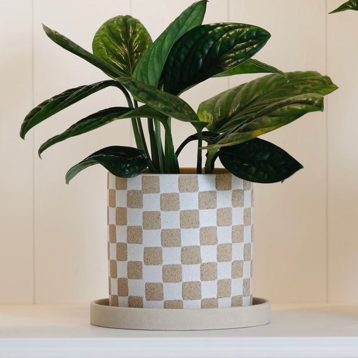 植木鉢 ソンブラポット S 受け皿付き ( フラワーポット プラントポット プランターポット 鉢 鉢植え 陶器 インテリア 植え替え おしゃれ 観葉植物 多肉植物 サボテン 園芸 受け皿 水抜き穴 ) 【ブラック】 ブラック