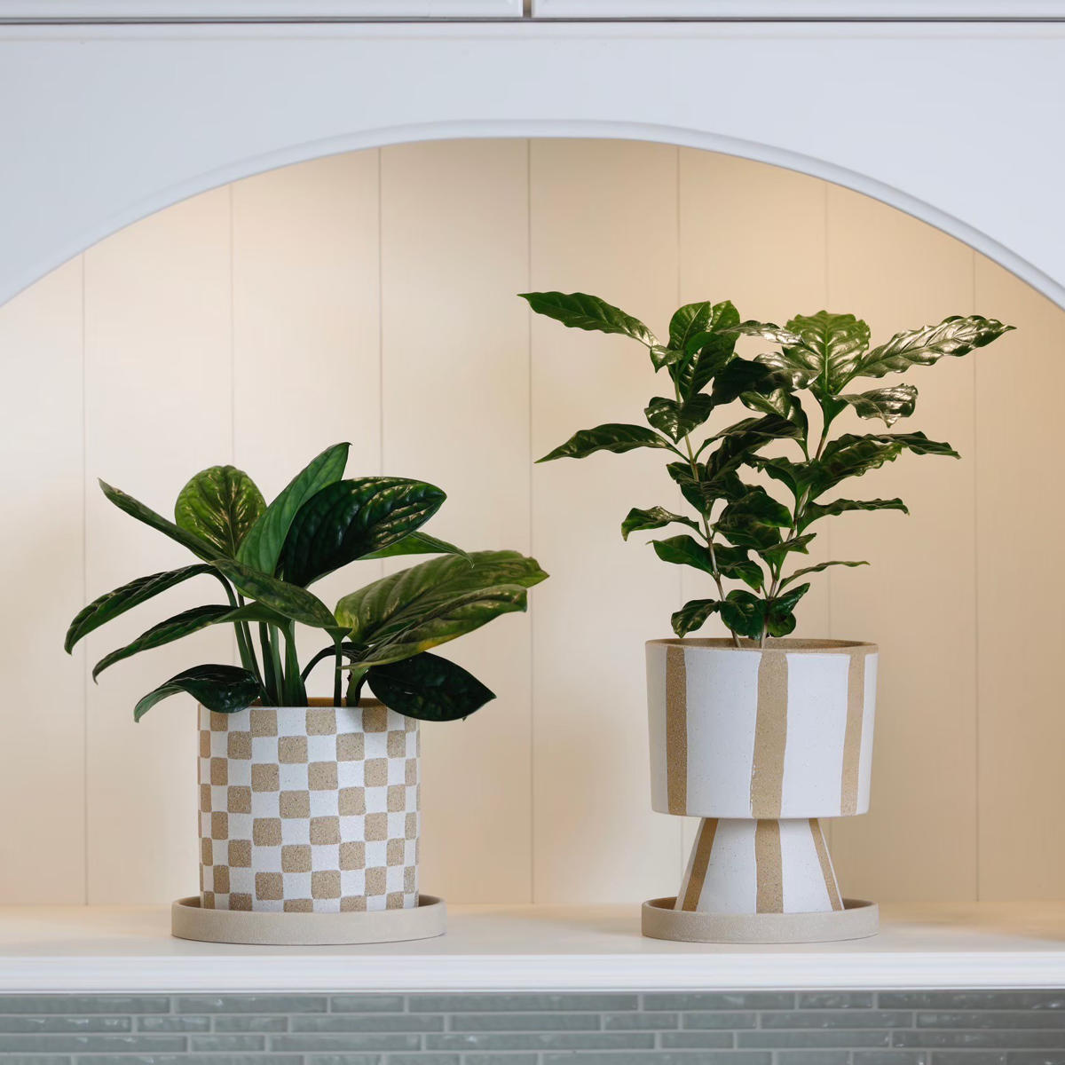 植木鉢 ソンブラポット S 受け皿付き ( フラワーポット プラントポット プランターポット 鉢 鉢植え 陶器 インテリア 植え替え おしゃれ 観葉植物 多肉植物 サボテン 園芸 受け皿 水抜き穴 ) 【ブラック】 ブラック