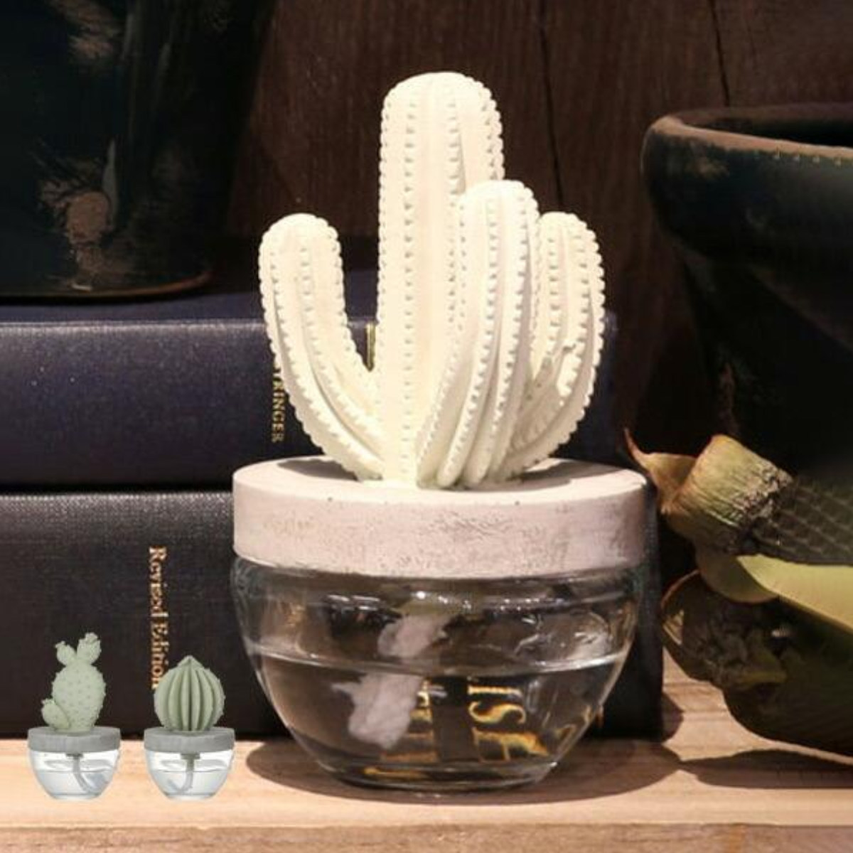ディフューザー ダルトン DULTON カクタスフレグランスディフューザー サボテン Elegantpeony ( 芳香剤 ルームフレグランス アロマディフューザー 香り フレグランス 多肉植物 アロマオイル アロマグッズ ガラス 部屋 玄関 洗面所 ) 【Oceanbreeze】