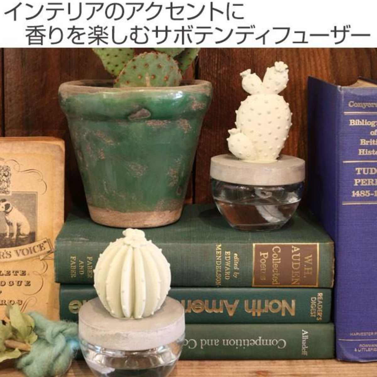 ディフューザー ダルトン DULTON カクタスフレグランスディフューザー サボテン Elegantpeony ( 芳香剤 ルームフレグランス アロマディフューザー 香り フレグランス 多肉植物 アロマオイル アロマグッズ ガラス 部屋 玄関 洗面所 ) 【Oceanbreeze】 Oceanbreeze