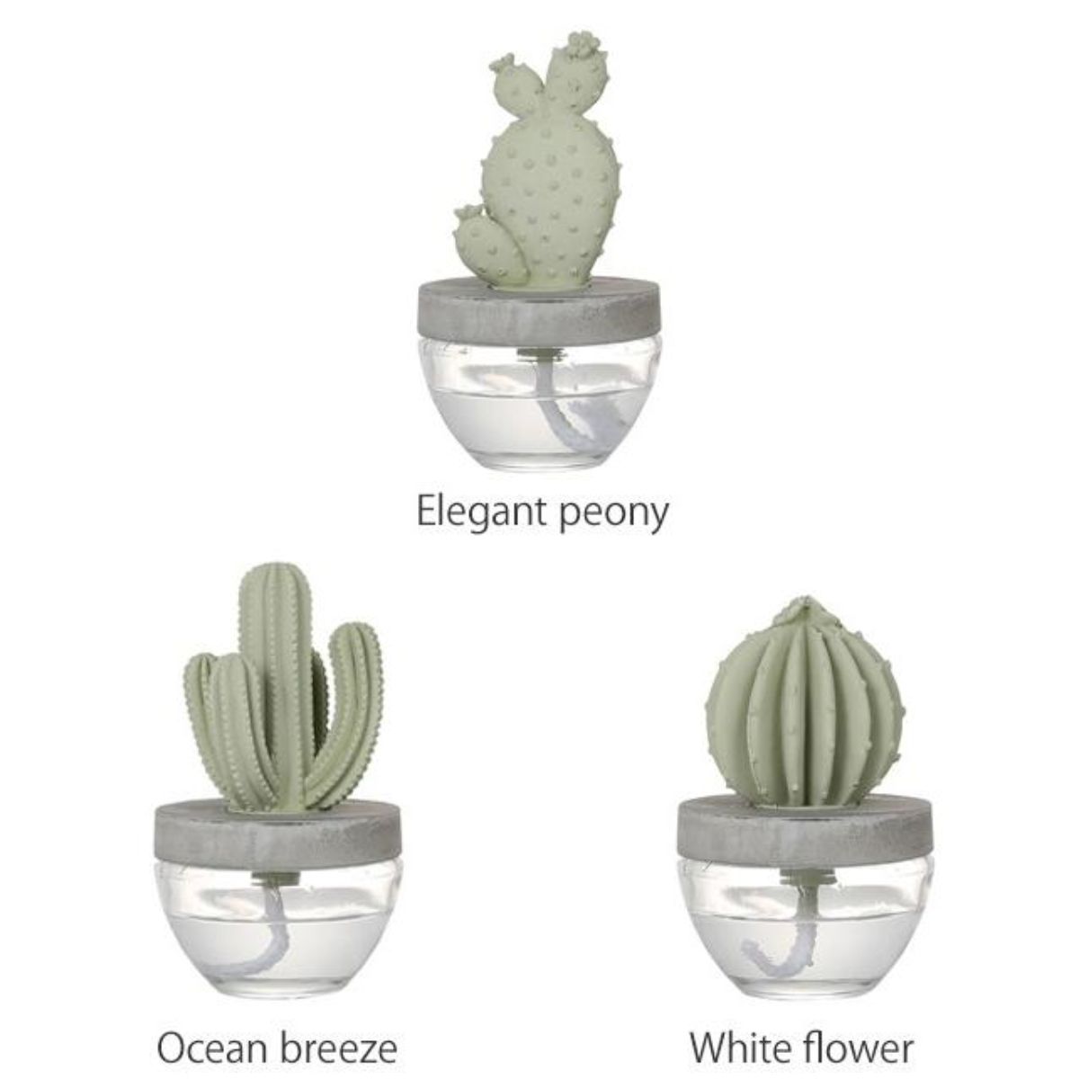 ディフューザー ダルトン DULTON カクタスフレグランスディフューザー サボテン Elegantpeony ( 芳香剤 ルームフレグランス アロマディフューザー 香り フレグランス 多肉植物 アロマオイル アロマグッズ ガラス 部屋 玄関 洗面所 ) 【Oceanbreeze】 Oceanbreeze