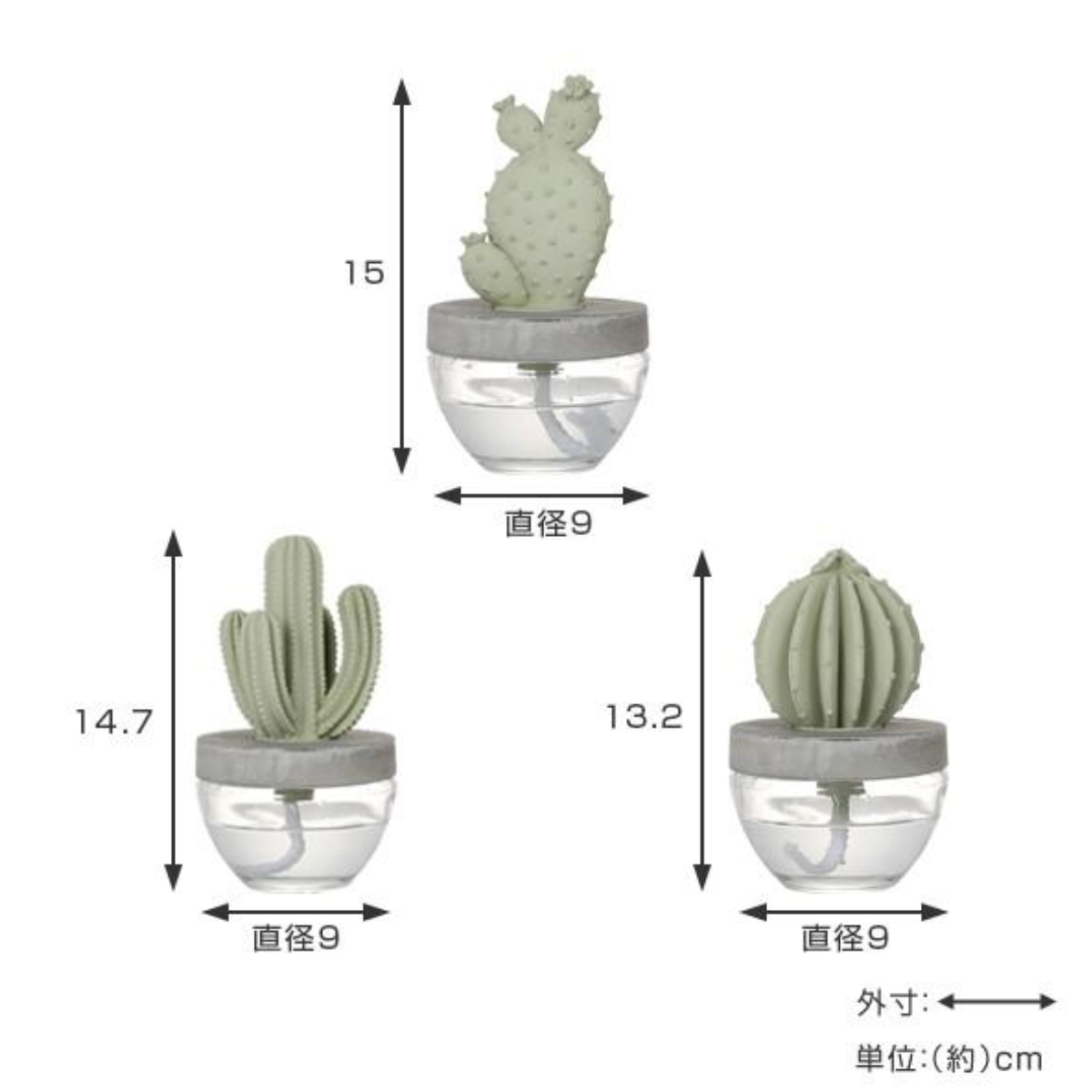 ディフューザー ダルトン DULTON カクタスフレグランスディフューザー サボテン Elegantpeony ( 芳香剤 ルームフレグランス アロマディフューザー 香り フレグランス 多肉植物 アロマオイル アロマグッズ ガラス 部屋 玄関 洗面所 ) 【Oceanbreeze】 Oceanbreeze