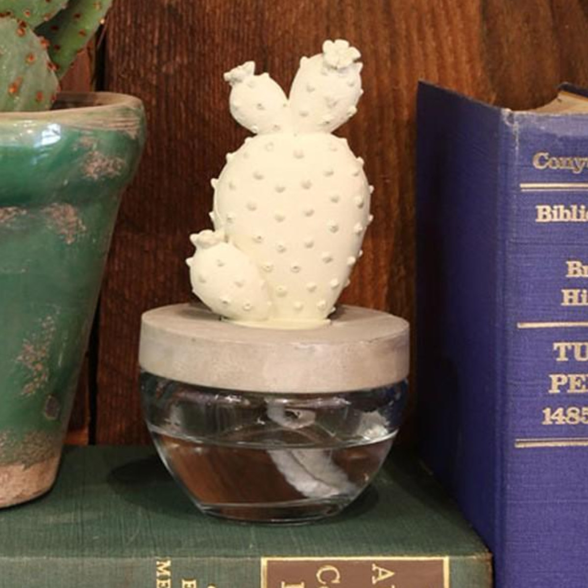 ディフューザー ダルトン DULTON カクタスフレグランスディフューザー サボテン Elegantpeony ( 芳香剤 ルームフレグランス アロマディフューザー 香り フレグランス 多肉植物 アロマオイル アロマグッズ ガラス 部屋 玄関 洗面所 ) 【Oceanbreeze】 Oceanbreeze