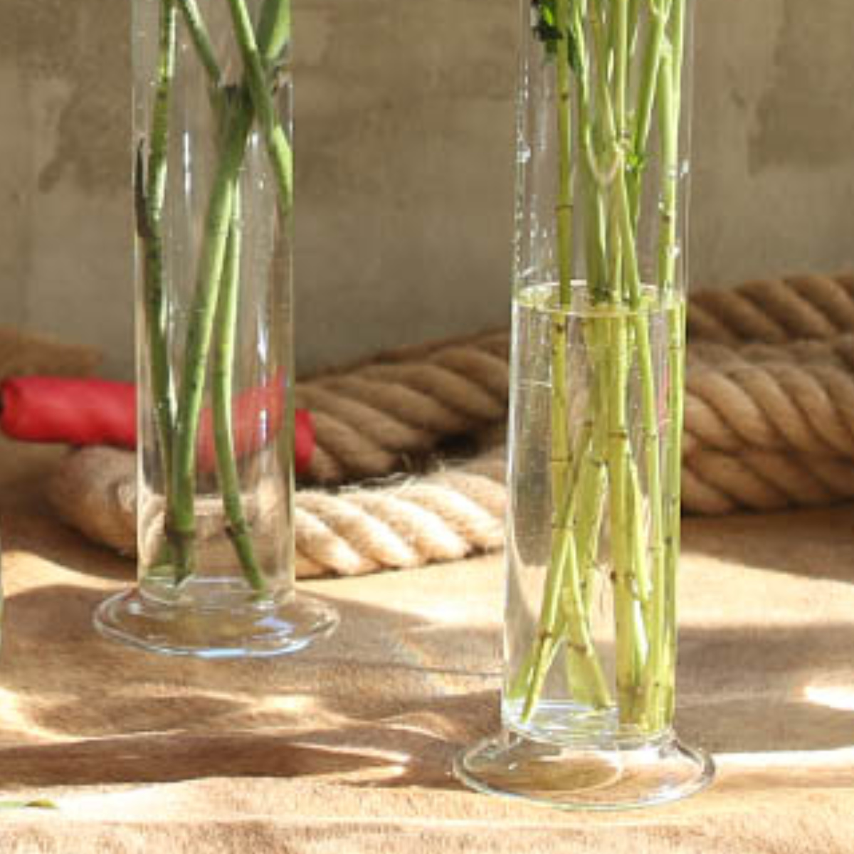 花瓶 GLASS VASE PROBETA S ダルトン DULTON ( 花ビン 花びん 花器 ベース ガラスベース フラワー 花 飾る 一輪挿し 花入れ ガラス ガラス製 クリア 透明 )