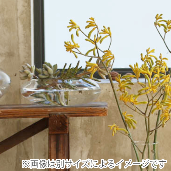 花瓶 GLASS VASE BOLA PLANA S ダルトン DULTON ( 花びん 花器 ベース フラワーベース フラワー 花 飾る テラリウム 鉢 花入れ ガラス ガラス製 生花 ドライフラワー 植物 アクアテラリウム メダカ 睡蓮鉢 )
